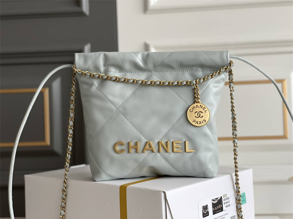 Chanel 22 min 20x19x6cm 2025 new 